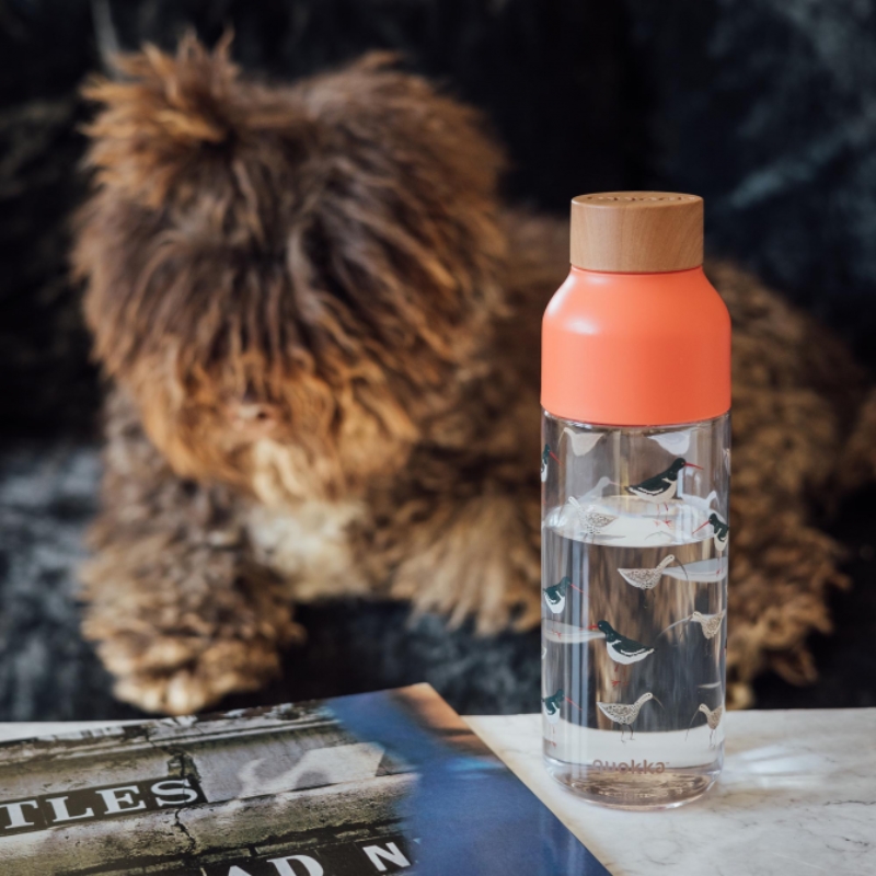 Quokka Ice - láhev na vodu ecozen 720 ml - Image 4