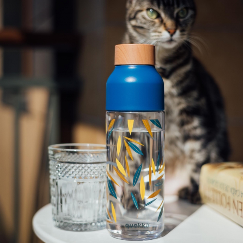 Quokka Ice - láhev na vodu ecozen 720 ml - Image 4
